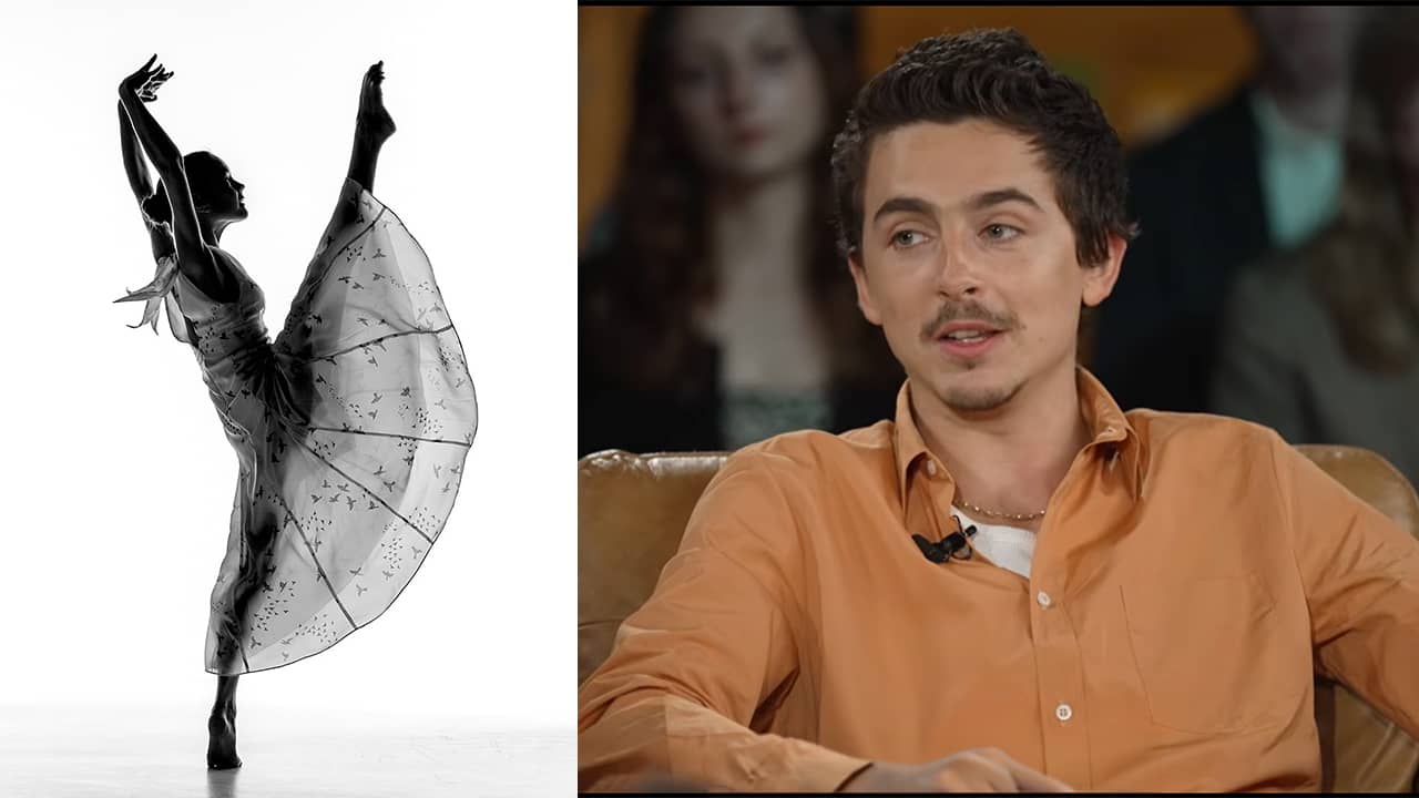 In Defense of Timothée Chalamet